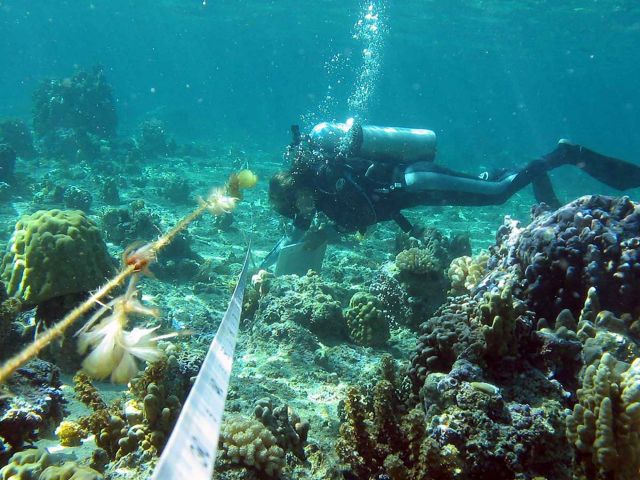 Scientific Diving | UCSB Marine Operations | UC Santa Barbara